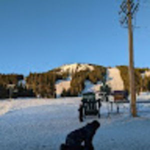 Meet your Posher, Jaeden